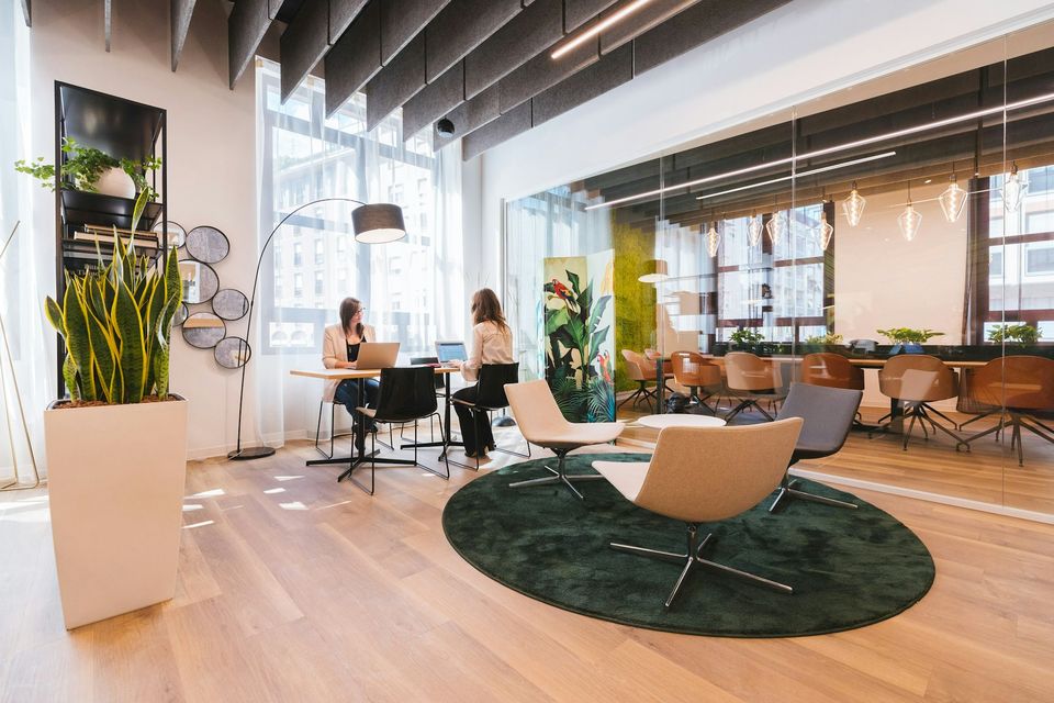 A sunlit open-plan office with lounge seating and plants